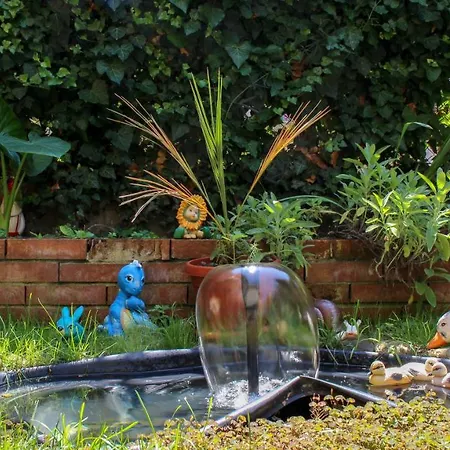 Pensiune вероника 3*