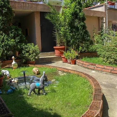 вероника Pensiune 3*