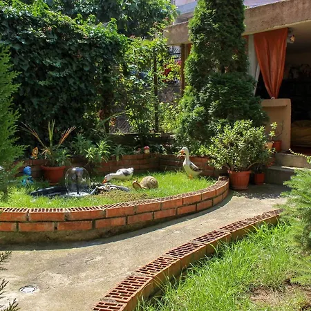 вероника Pensiune