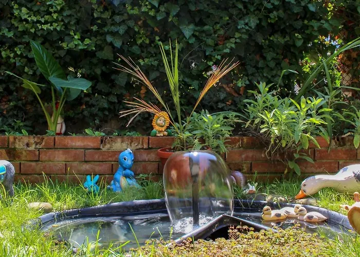 בית הארחה вероника 3*