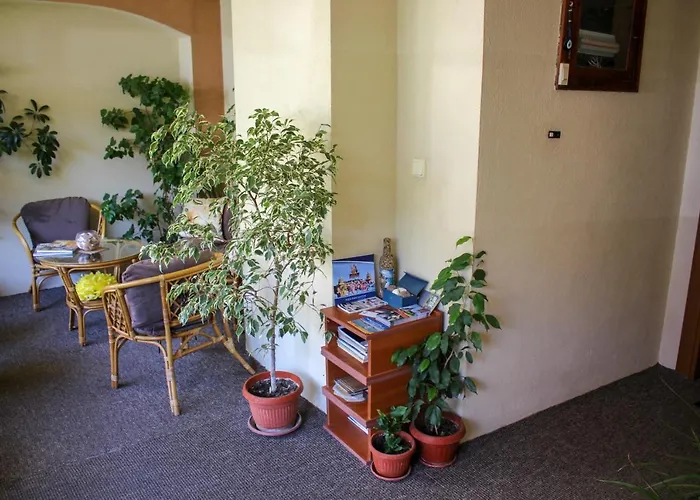 בית הארחה вероника סוזופול