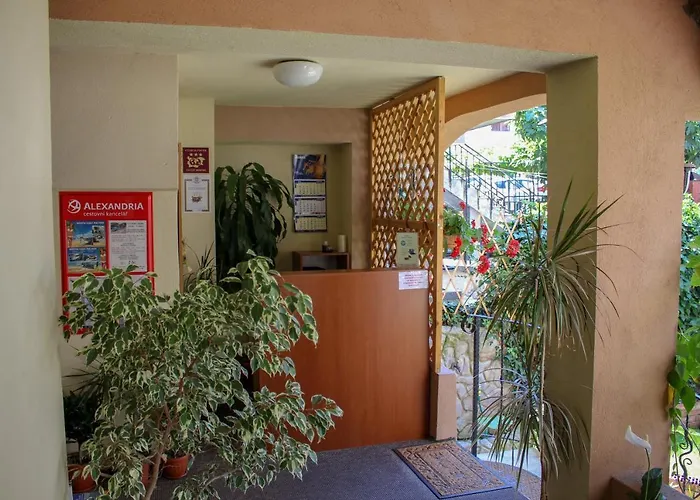 вероника סוזופול